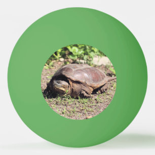 Bolinha De Ping Pong Grande cara