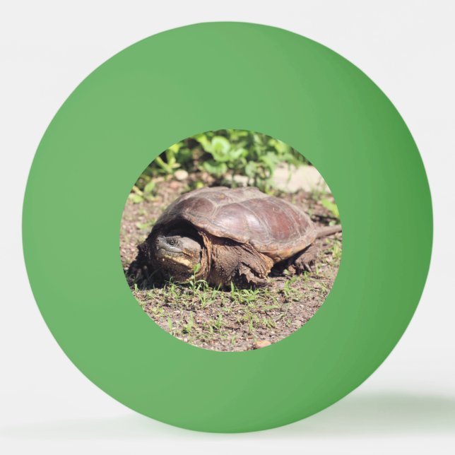 Bolinha De Ping Pong Grande cara (Frente)