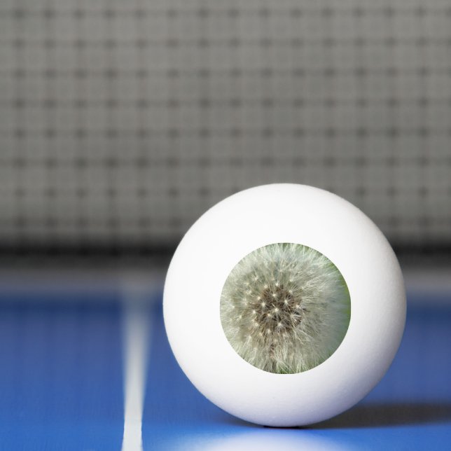 Bolinha De Ping Pong Grande Dente-de-Leão Branco (Líquido)