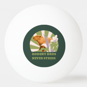 Bolinha De Ping Pong Irmãos Roedores Nunca Estrese Capivara