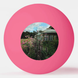 Bolinha De Ping Pong Jardim Botânico