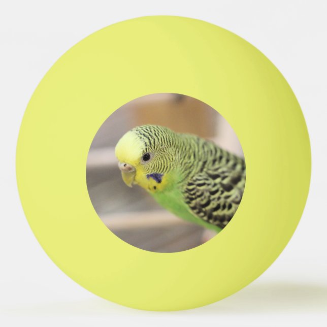 Bolinha De Ping Pong Kiwi (Frente)