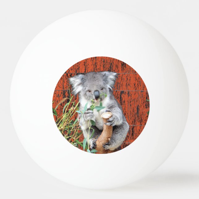 Bolinha De Ping Pong Koala Snack Time Ping Pong Ball (Frente)