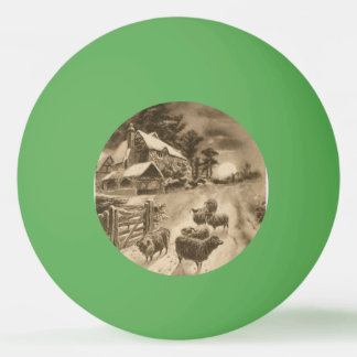 Bolinha De Ping Pong Lamb