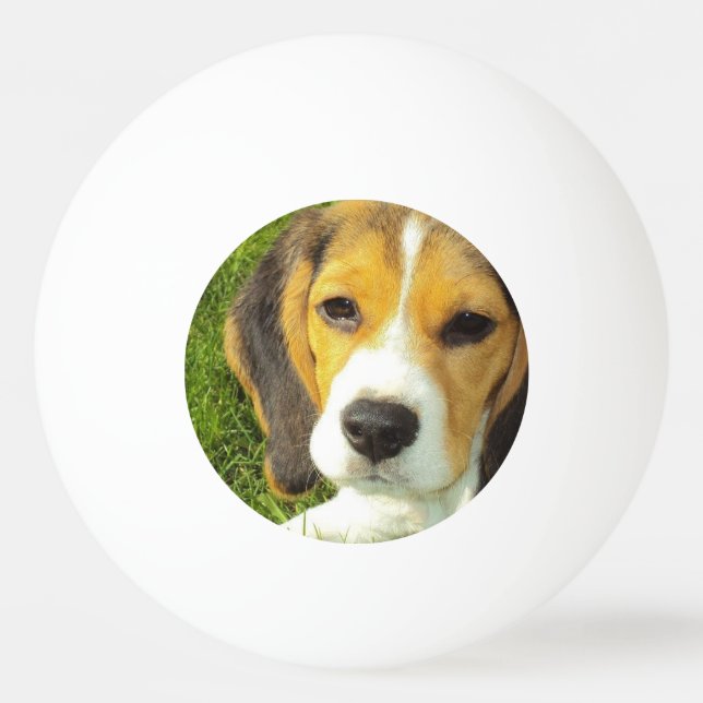 Bolinha De Ping Pong Lebreiro bonito (Frente)