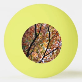 Bolinha De Ping Pong Luz nas folhas