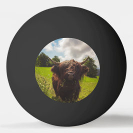 Bolinha De Ping Pong Luz verde do campo verde da vaca em lata negra