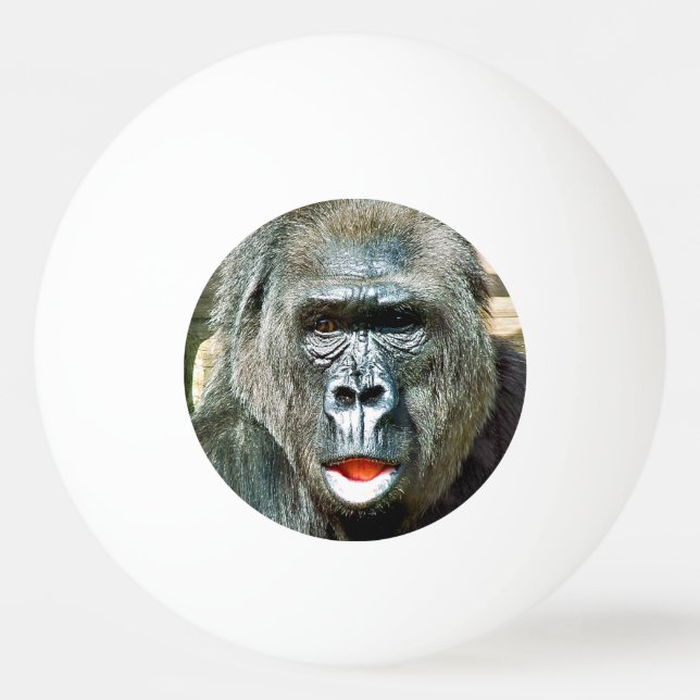 BOLINHA DE PING PONG MACACO ENGRAÇADO FOFO (Frente)