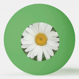 Bolinha De Ping Pong Margarida Branca