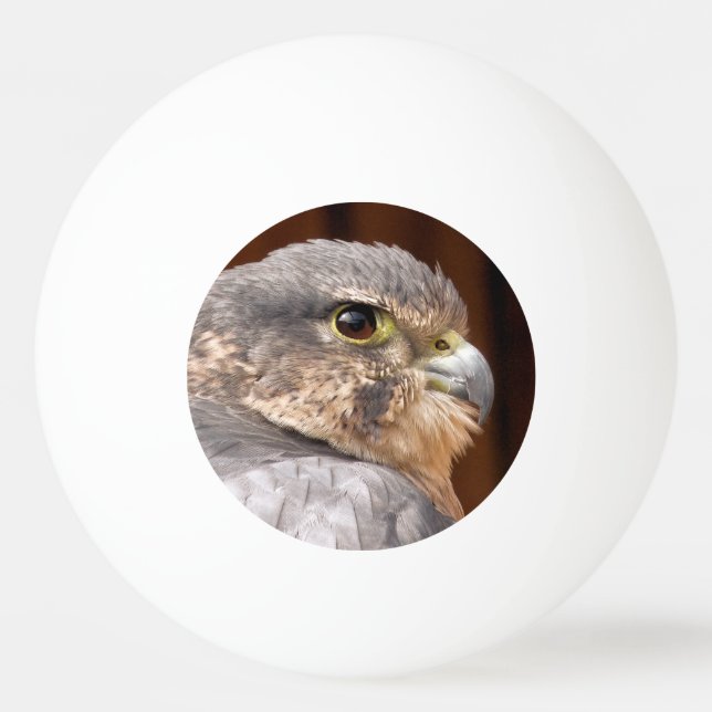 BOLINHA DE PING PONG MERLIN FALCON BIRD OF PREY (Frente)