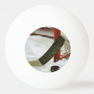 Bolinha De Ping Pong meta da rede de hóquei