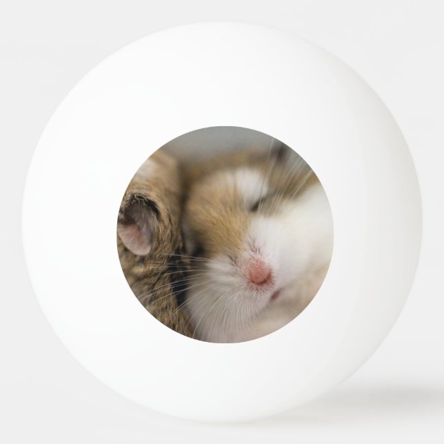 Bolinha De Ping Pong Mover para o Bob (Frente)