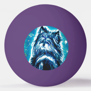 Bolinha De Ping Pong O pequeno cachorro em azul
