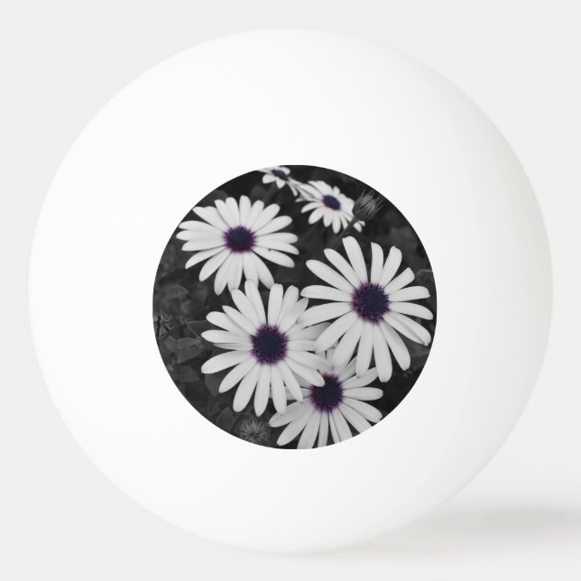 Bolinha De Ping Pong O Sutil Contraste da Natureza (Frente)