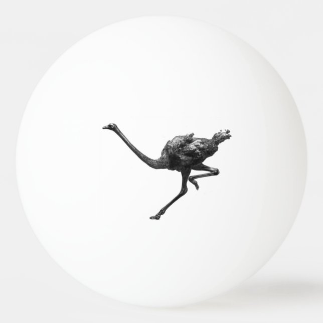 Bolinha De Ping Pong Ostrich Rodando Legal Atleta Arte Animal (Frente)