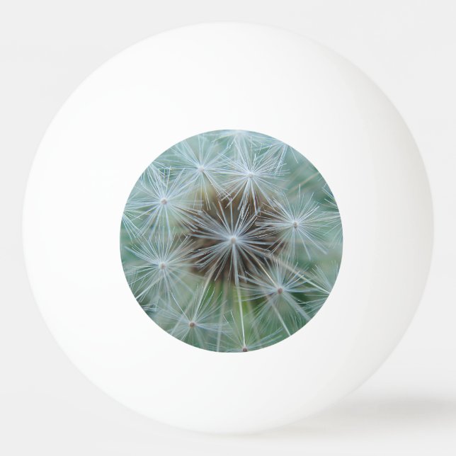 Bolinha De Ping Pong Padrão de dandelion branco (Frente)