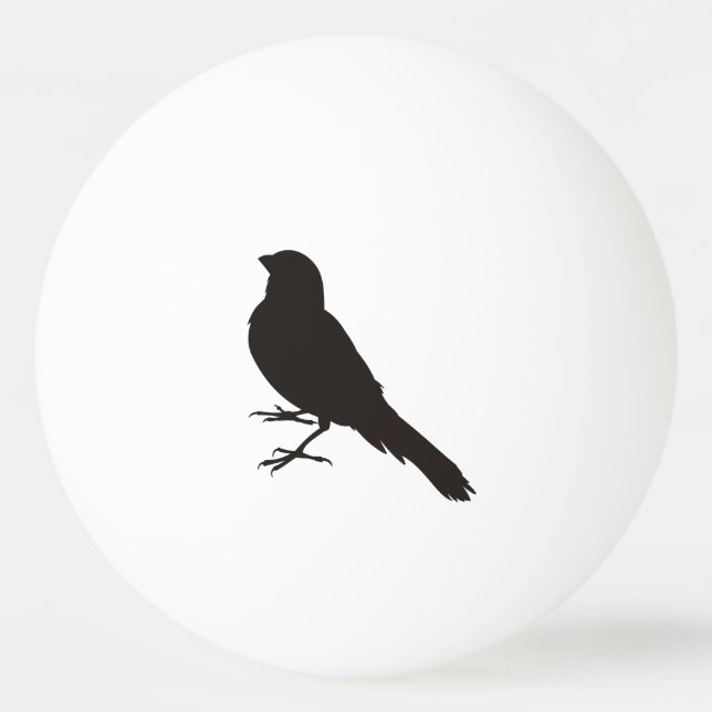 Bolinha De Ping Pong Pássaro Canário em Pé (Verso)