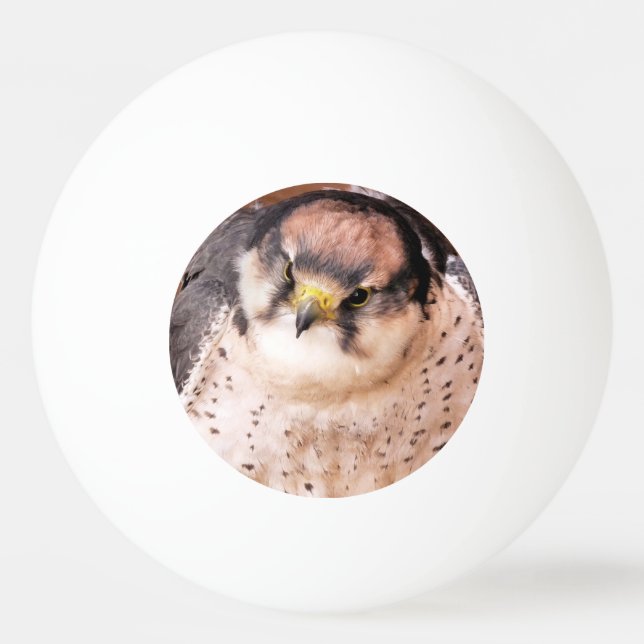 BOLINHA DE PING PONG PÁSSARO FALCON DE PRESA (Frente)