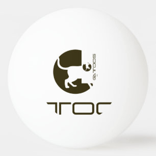 BOLINHA DE PING PONG PASTA-PINTA DO GATTOOS ESPORTE