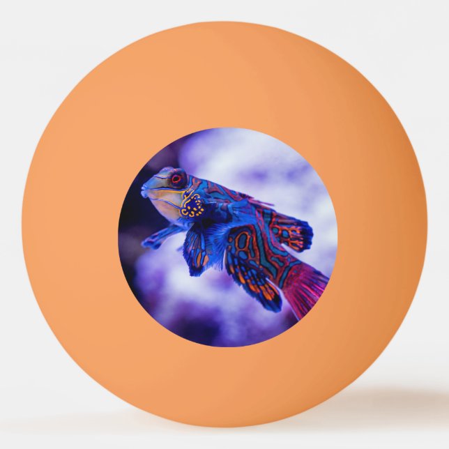Bolinha De Ping Pong Peixe Gobi Mandarim (Frente)