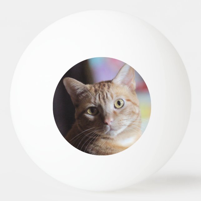 Bolinha De Ping Pong Penny (Frente)