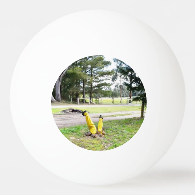 Bolinha De Ping Pong Perdido no Jardim de novo (Frente)