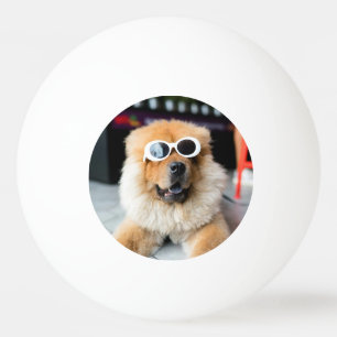 Bolinha De Ping Pong Pet Dog Lover Personalizado