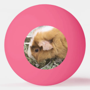 Bolinha De Ping Pong Piggy Golf Hat Clip