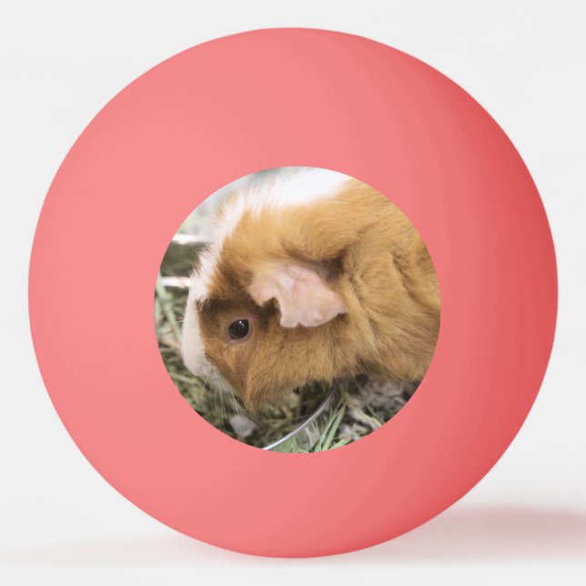 Bolinha De Ping Pong Piggy Golf Hat Clip (Frente)