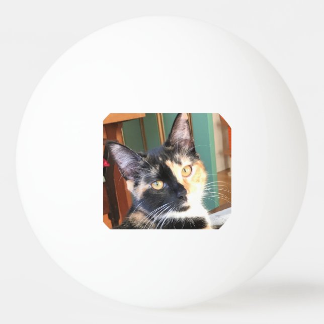 Bolinha De Ping Pong Ping Pong de Ruby (Frente)