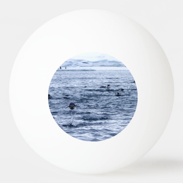 Bolinha De Ping Pong Pinguim voador (Verso)