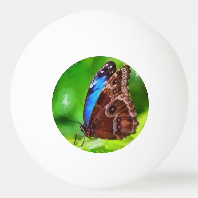 Bolinha De Ping Pong Pintura da borboleta (Verso)