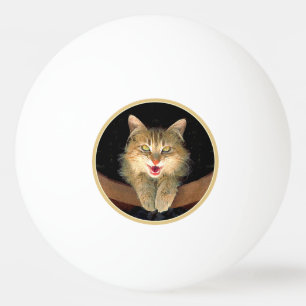 Bolinha De Ping Pong Pintura de Gatos Loucos - Arte de Gato Original Bo