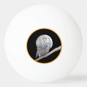 Bolinha De Ping Pong Pintura de Moon e Coruja de Neve - Arte de Pássaro