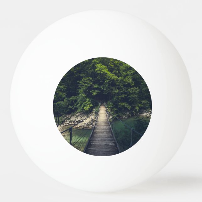 Bolinha De Ping Pong Ponte de suspensão simples sobre o rio Idrijca, Sl (Frente)