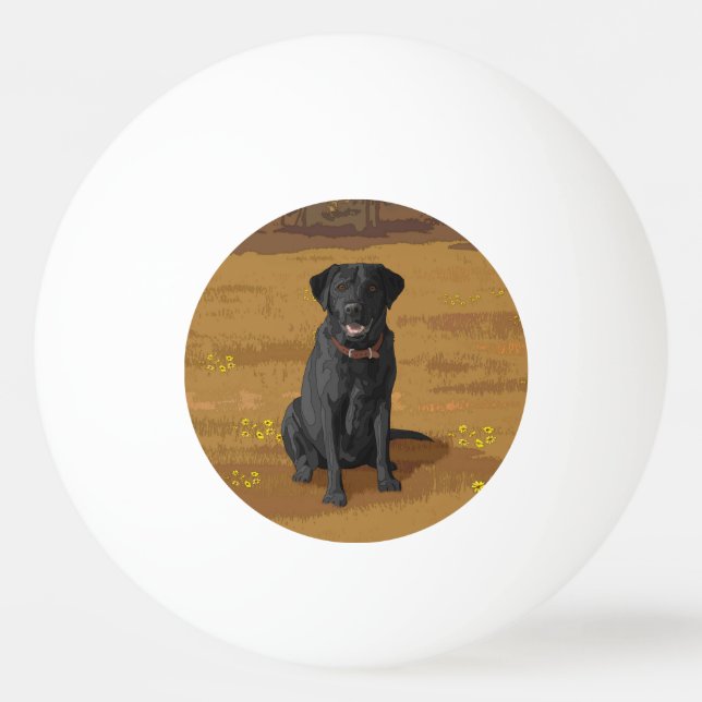 Bolinha De Ping Pong Presente de sobrenome Preto Labrador (Frente)