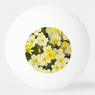 Bolinha De Ping Pong Primavera Primários