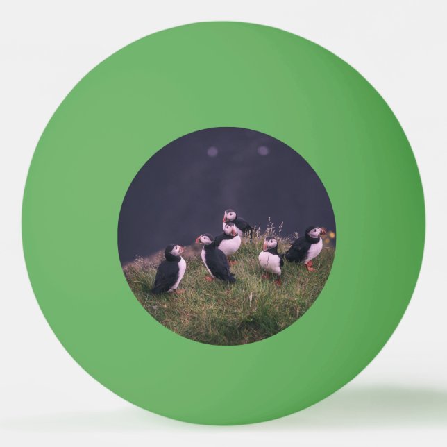 Bolinha De Ping Pong Puffins Atlântico (Frente)