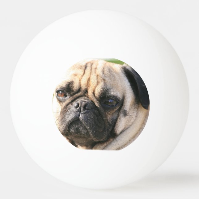 Bolinha De Ping Pong pug-18 (Frente)
