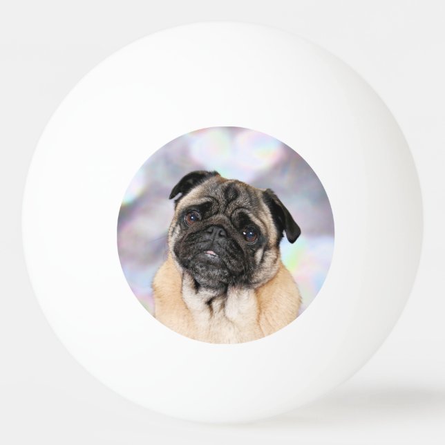 Bolinha De Ping Pong Pug - Willy (Frente)