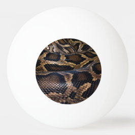 Bolinha De Ping Pong Python