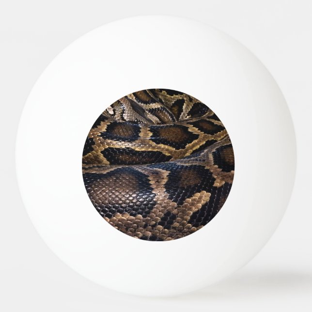 Bolinha De Ping Pong Python (Frente)