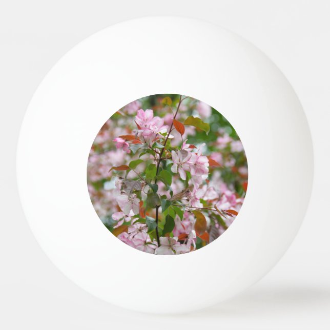 Bolinha De Ping Pong Ramo delicado com macieira de flores (Frente)