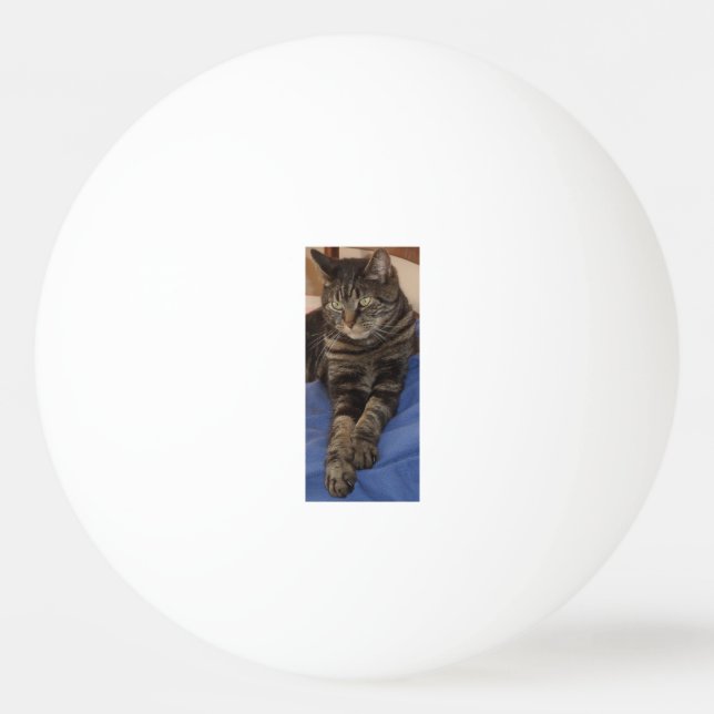 Bolinha De Ping Pong Regal Dave One Star Ping Pong Ball (Frente)