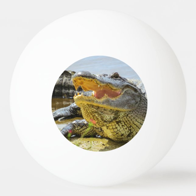 Bolinha De Ping Pong Retrato do jacaré (Frente)