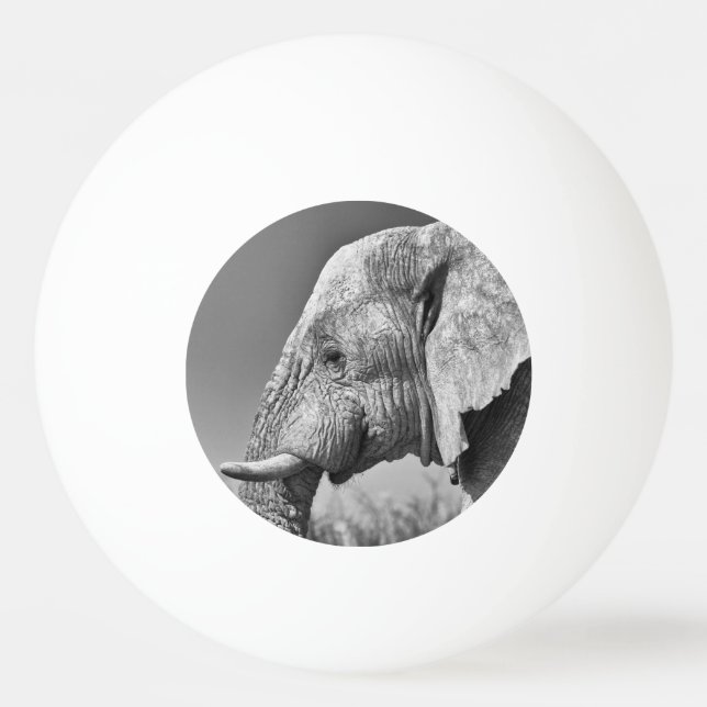 Bolinha De Ping Pong Retrato elefante (Verso)