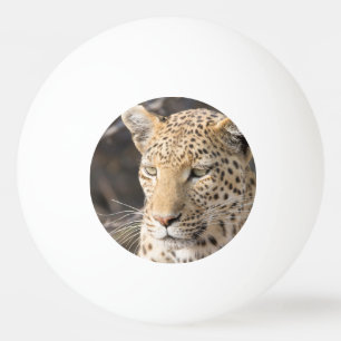 Bolinha De Ping Pong Retrato leopardo