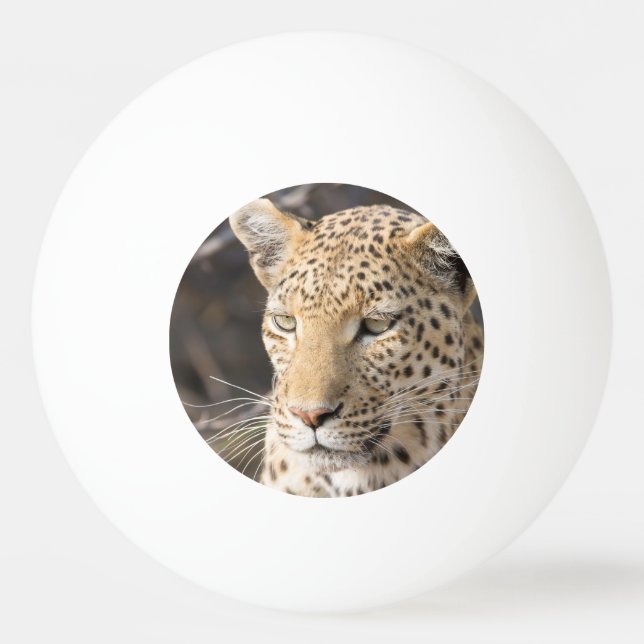 Bolinha De Ping Pong Retrato leopardo (Verso)