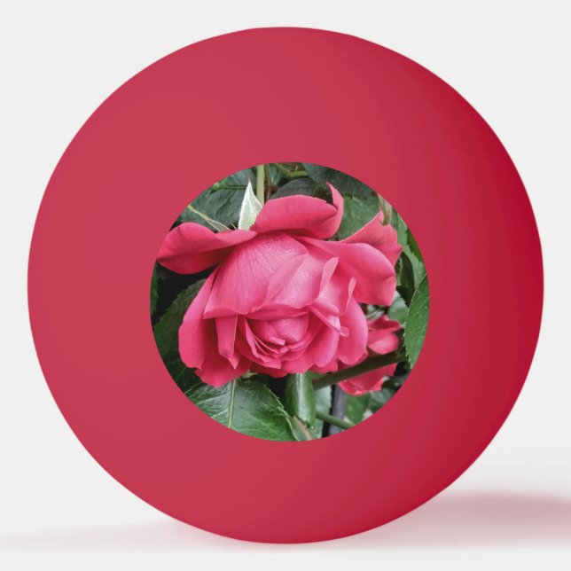 Bolinha De Ping Pong Rosa vermelha bonita (Frente)