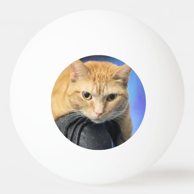 Bolinha De Ping Pong Sábado (Frente)